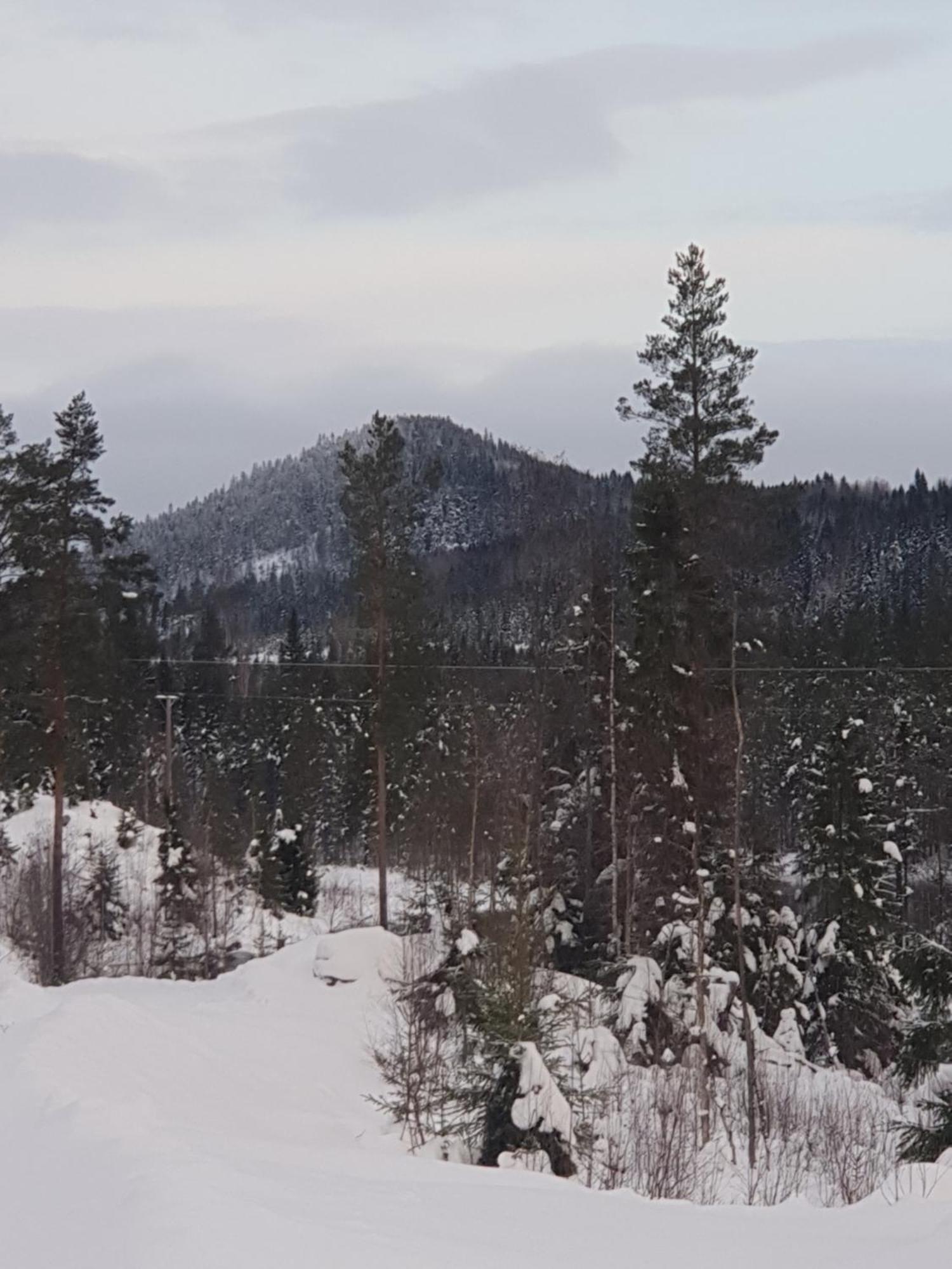 Tyforsgården Leilighet Mjolnartorpet Eksteriør bilde