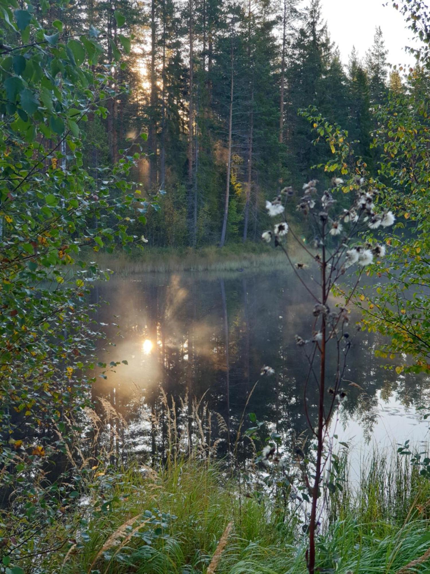 Tyforsgården Leilighet Mjolnartorpet Eksteriør bilde